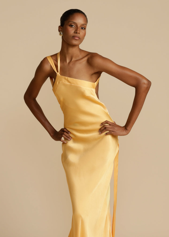 Geneviève | Robe Longue Luxueuse