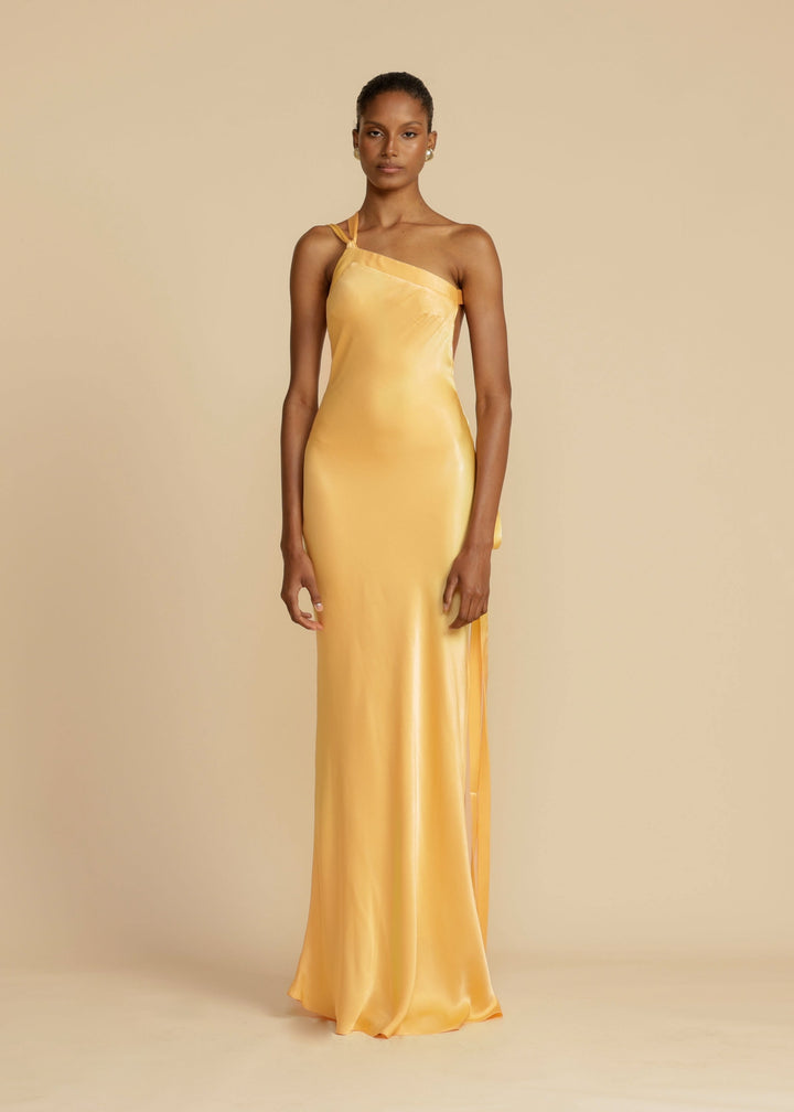 Geneviève | Robe Longue Luxueuse