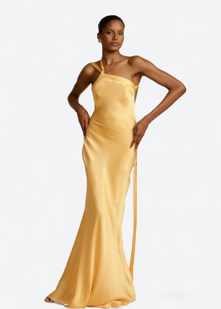 Geneviève | Robe Longue Luxueuse