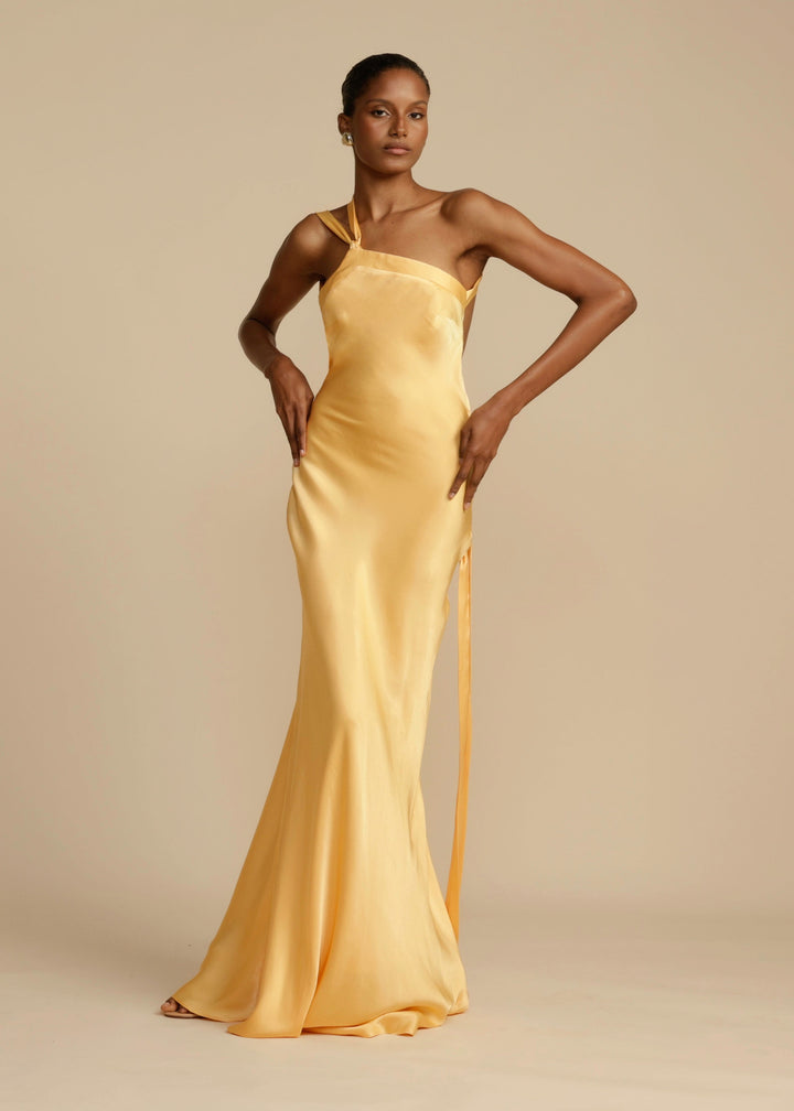 Geneviève | Robe Longue Luxueuse